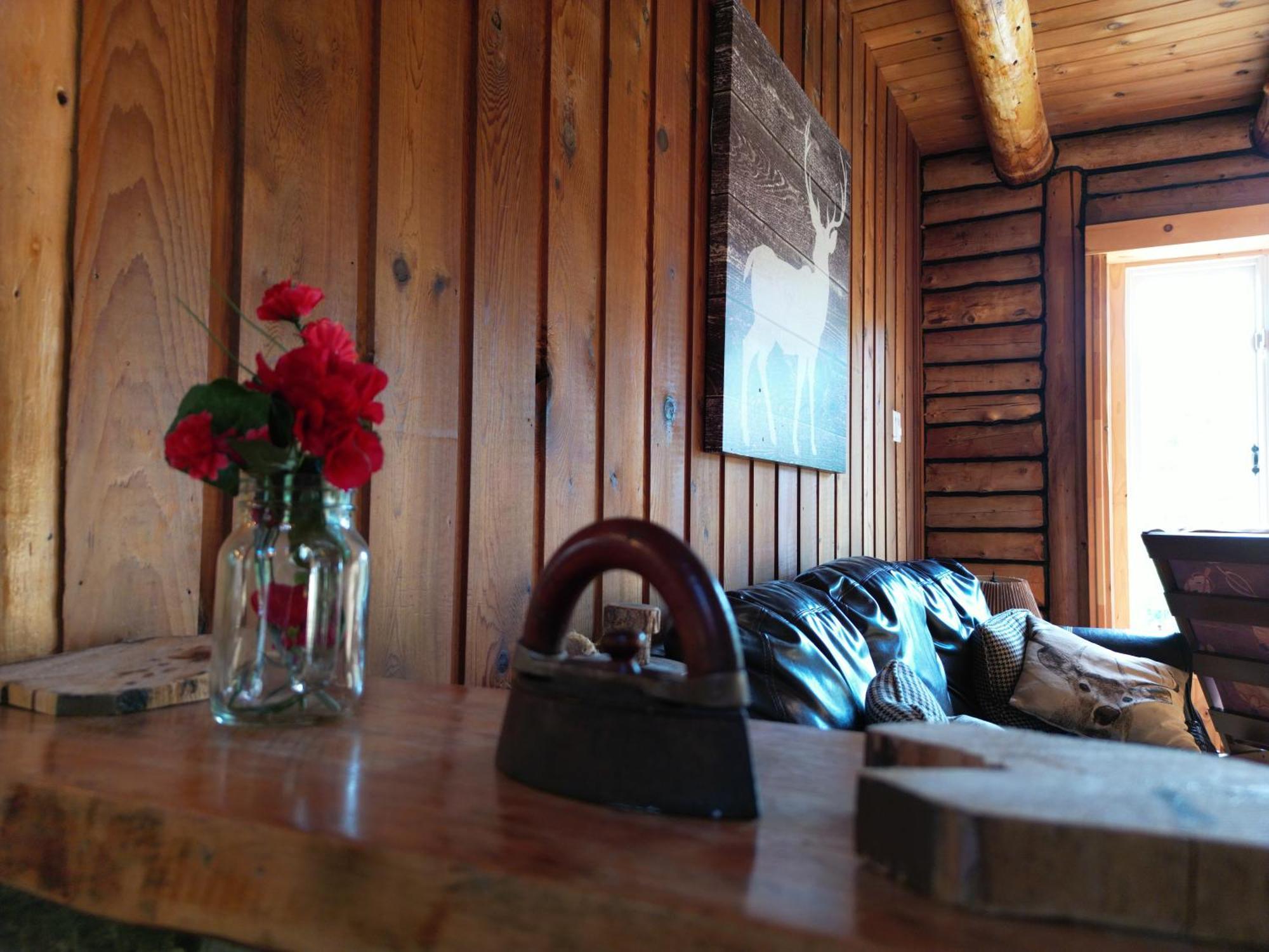 Cozy Log Cottage La Minerve Esterno foto